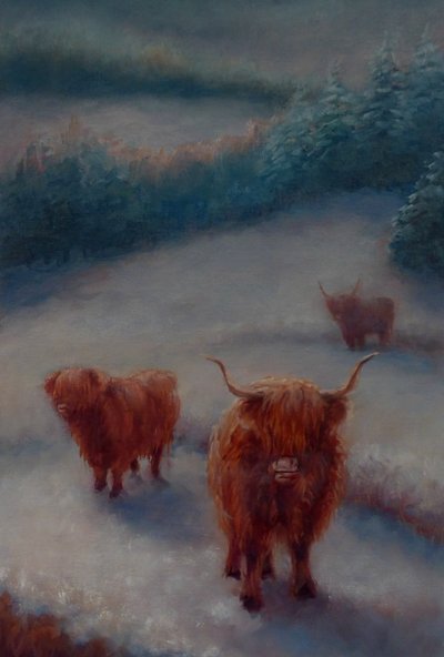 Highland Cattle, 2018 by Unbekannt Unbekannt